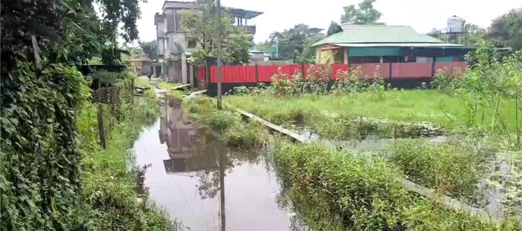 নিকাশী সমস্যায় জর্জরিত তেলিপাড়া, ভোগান্তিতে সাধারণ মানুষ