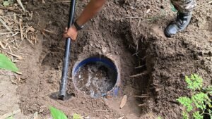 জলপাইগুড়িতে আবগারি দফতরের যৌথ অভিযান, বিপুল পরিমাণ মদ তৈরির উপকরণ উদ্ধার